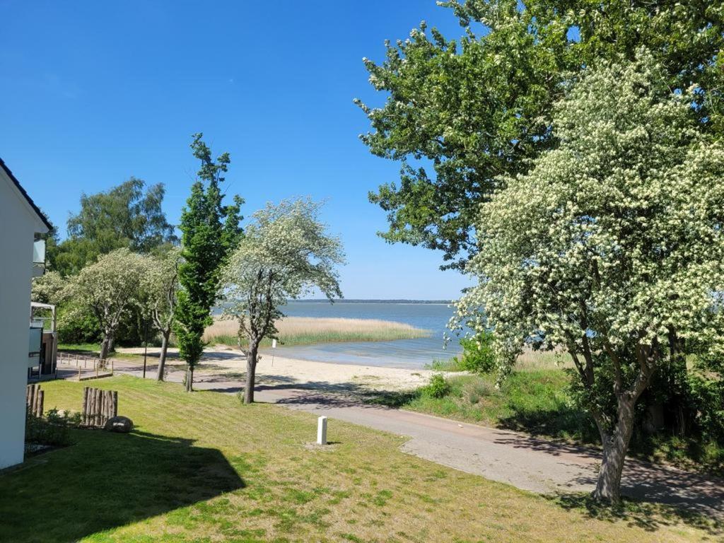 Baltic Lagoon Resort Direkt Am Meer Fuhlendorf  Bagian luar foto